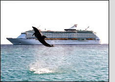 Caribbean Cruises and Mexico Cruises