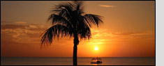 Royal Caribbean Cruises from Baltimore
