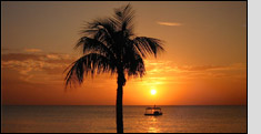 Cheap Cruises from Port Canaveral